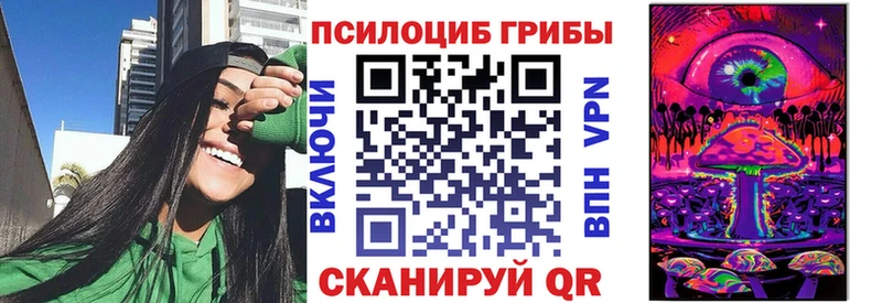 Купить где  Липки  Галлюциногенные грибы Psilocybine cubensis 